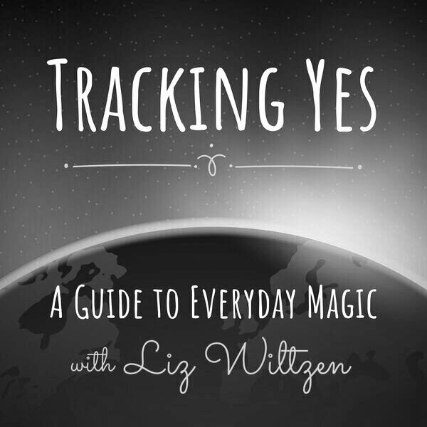 Declutter Your Soul with Peggy Fitzsimmons Ph.D. — Liz Wiltzen podcast